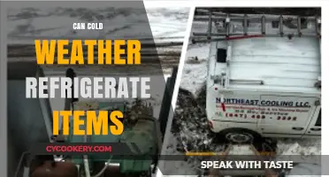 Can Cold Weather Replace Refrigeration? Exploring Natural Food Preservation Methods