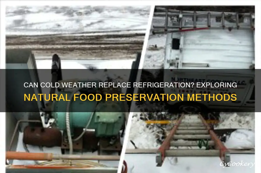 can cold weather refrigerate items