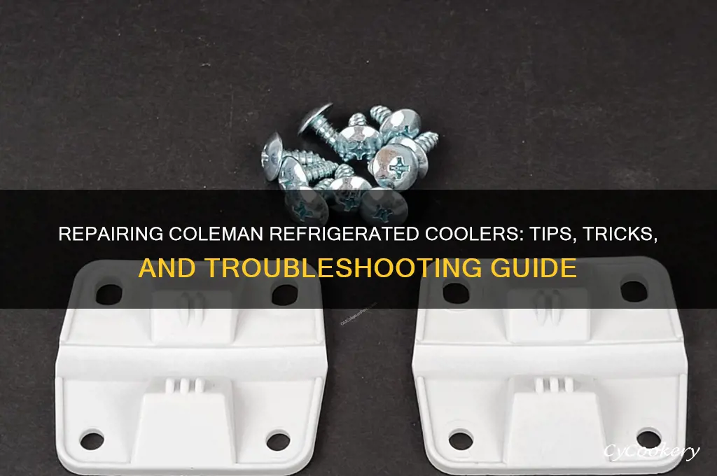 can coleman refrigerated coolers be repaired