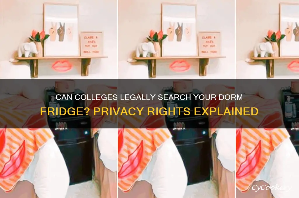 can college open refrigerator in room