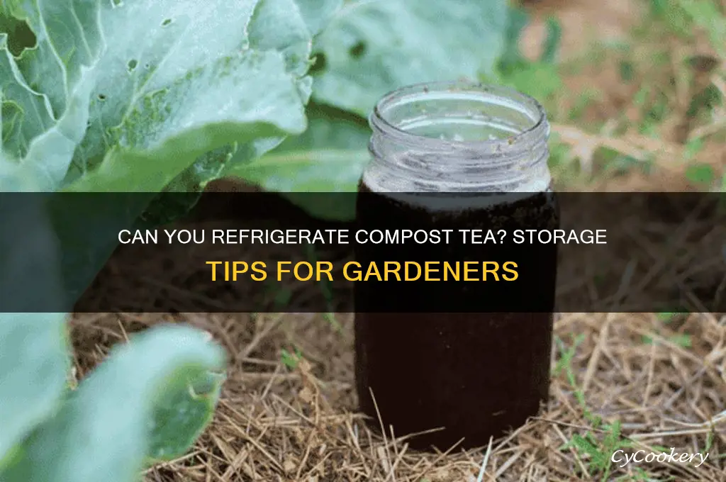 can compost tea be refrigerate