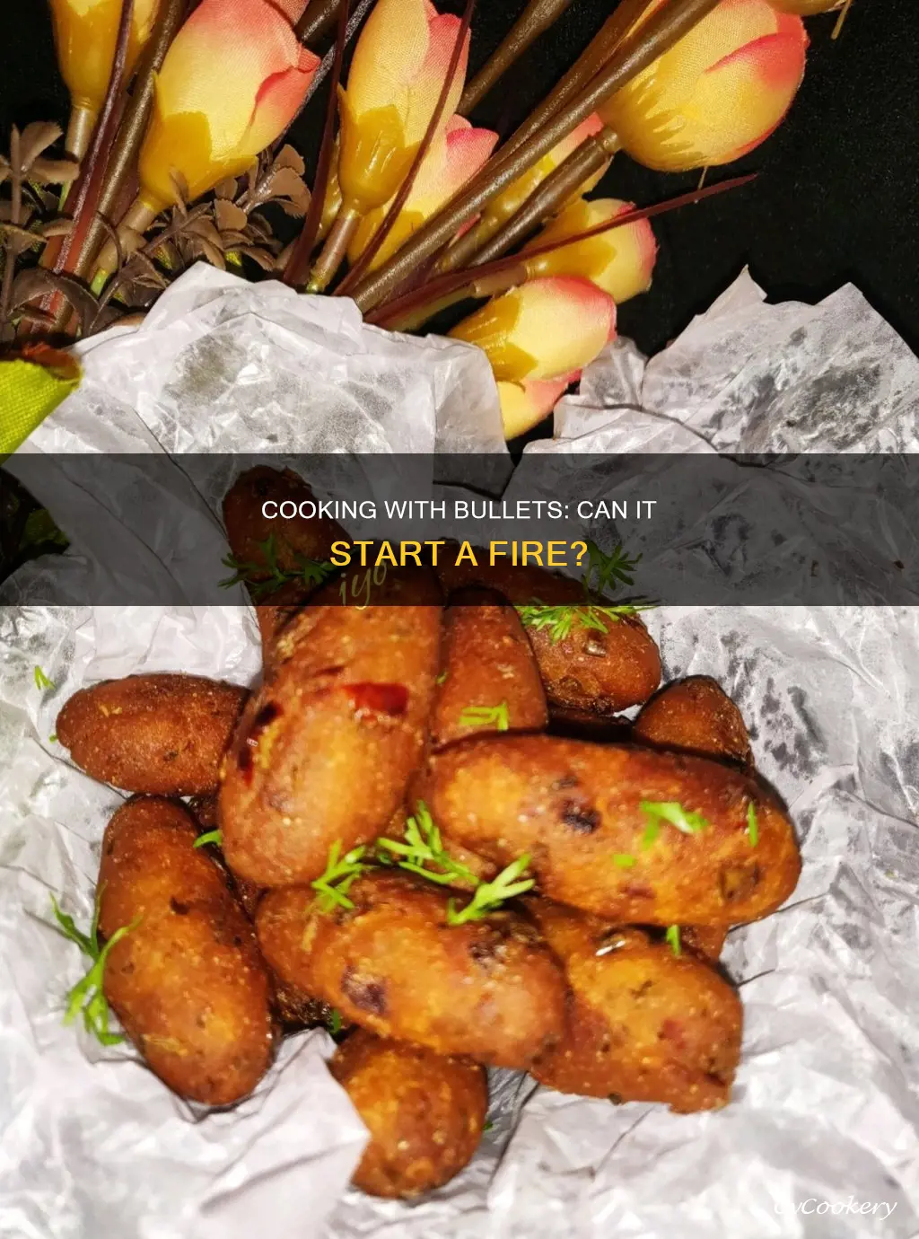 can cook bullets pan make fire