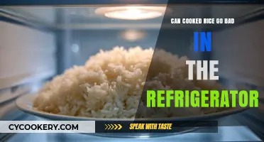 Can Cooked Rice Spoil in the Fridge? Storage Tips Revealed