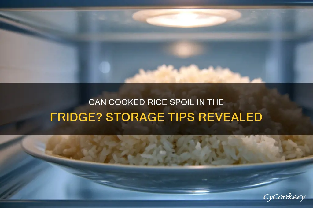 can cooked rice go bad in the refrigerator