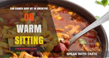 Soup Safety: Warm Crock Pot Settings