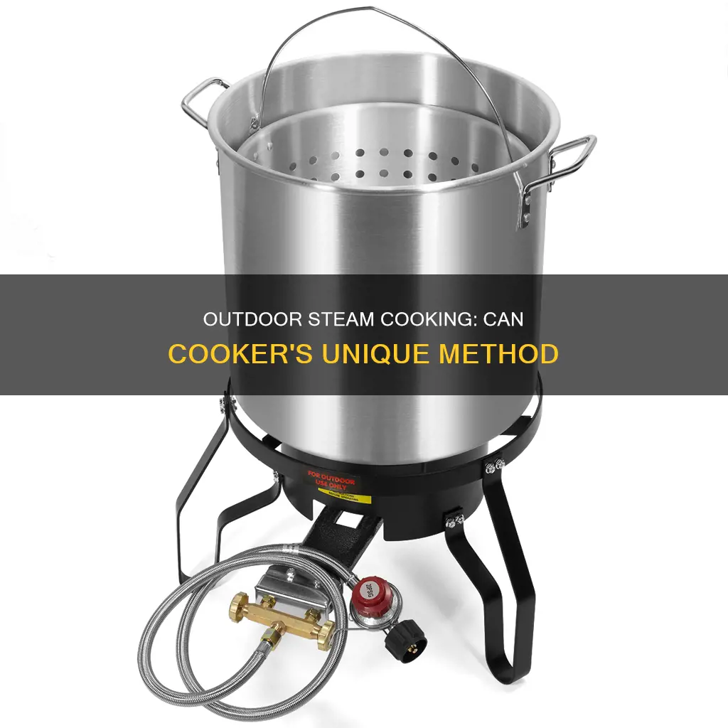 can cooker outdoor steam cooker