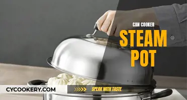 Steaming with the Can Cooker: A Comprehensive Guide