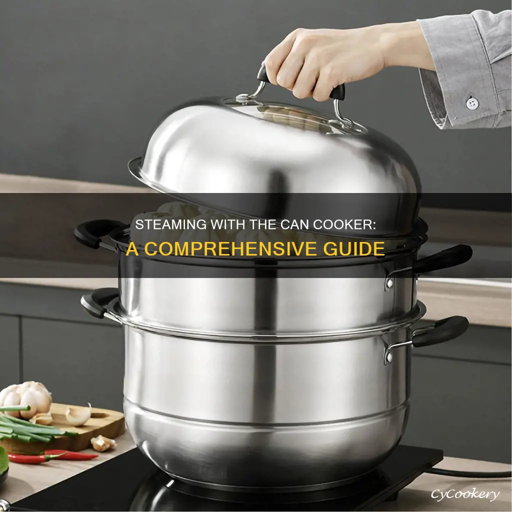 can cooker steam pot