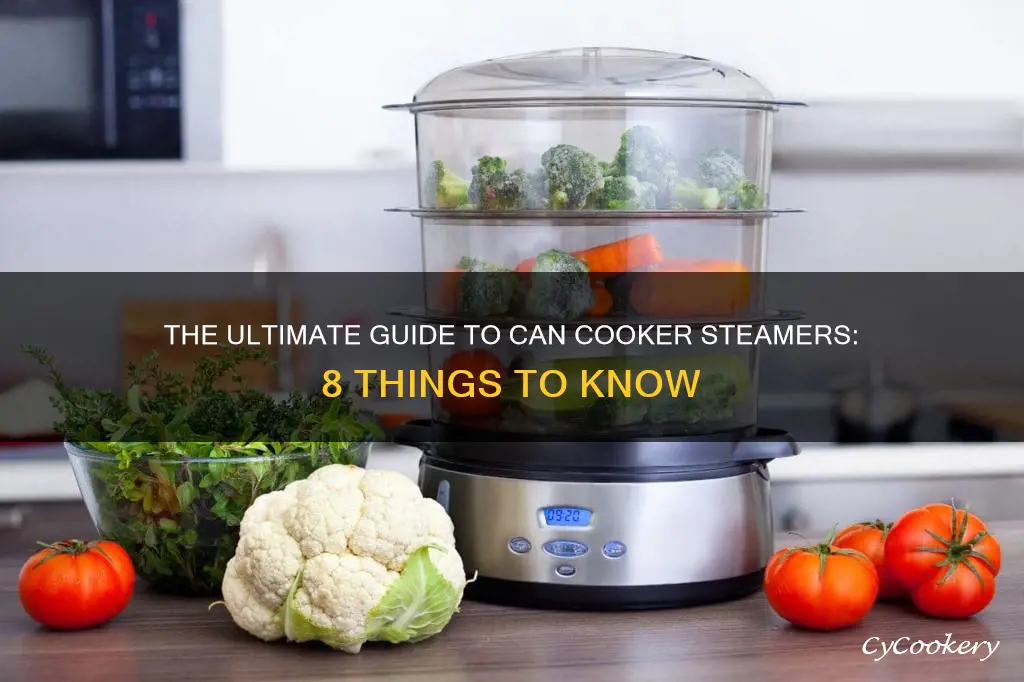 can cooker steamer