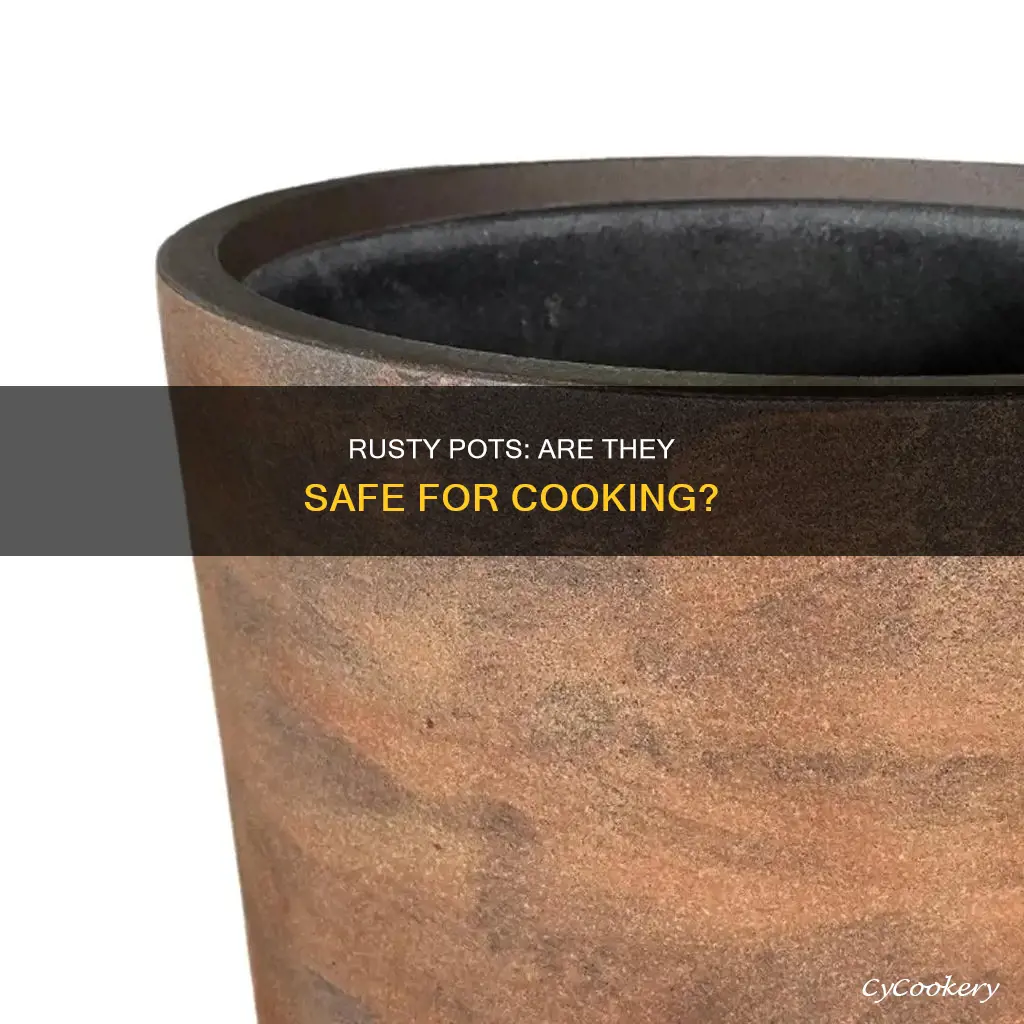can cooking in a rusty pot hurt you