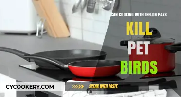 Teflon Pans: Are Your Pet Birds at Risk?