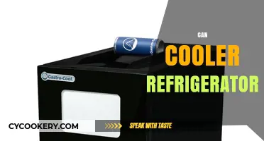 Can Cooler Refrigerator: The Ultimate Guide to Chilling Your Drinks Efficiently