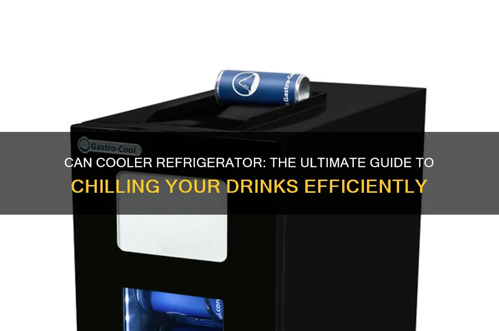 can cooler refrigerator