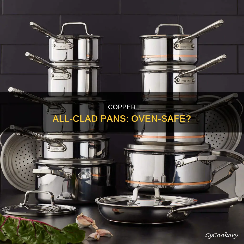can copper all clad pan be ut in oven