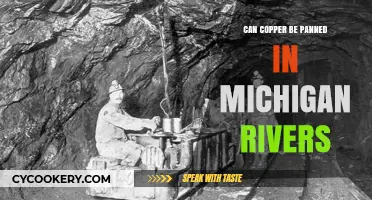 Panning for Copper in Michigan: Is It Possible?