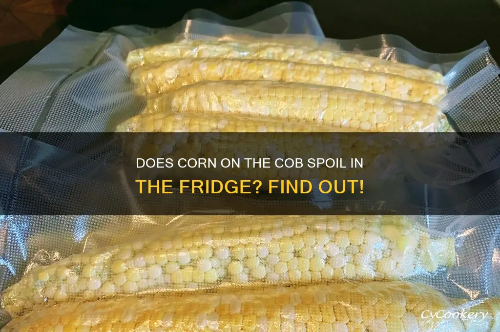 can corn on the cob go bad in the refrigerator