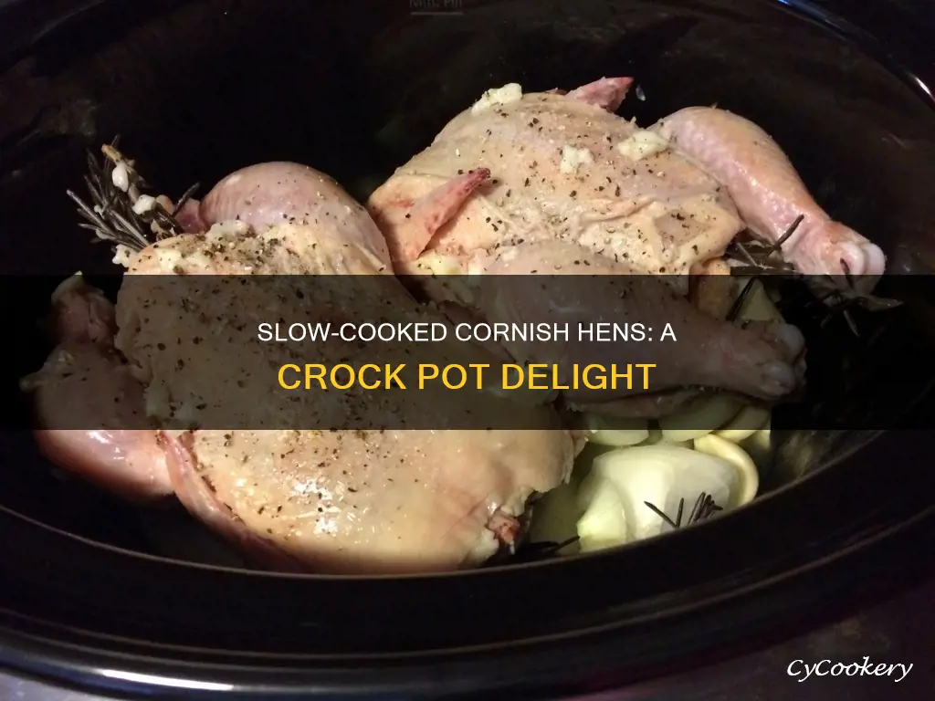 can cornish hens be cooked in a crock pot