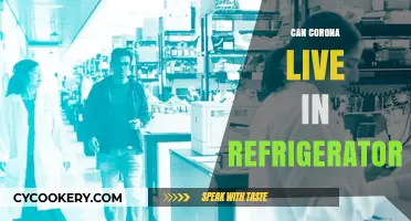 Can Coronavirus Survive in Your Refrigerator? Facts and Safety Tips