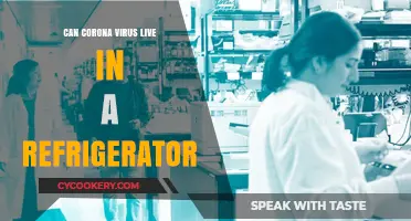 Can Coronavirus Survive in Your Refrigerator? Facts and Safety Tips