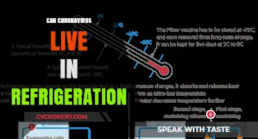 Can Coronavirus Survive in Refrigeration? Facts and Safety Tips