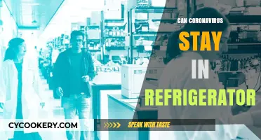 Can Coronavirus Survive in Your Refrigerator? Facts and Safety Tips