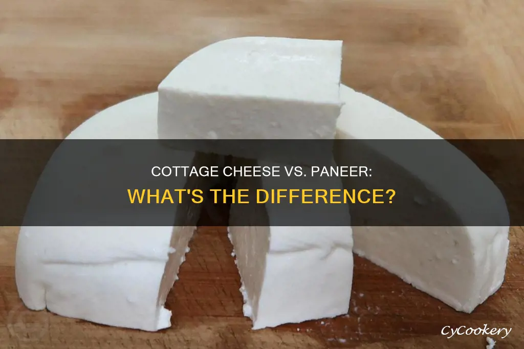 can cottage cheese be used instead of paneer