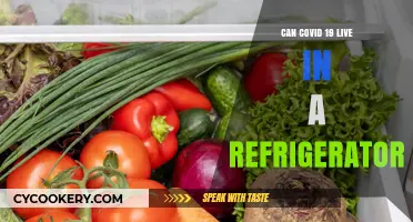 Can COVID-19 Survive in Your Refrigerator? Facts and Safety Tips