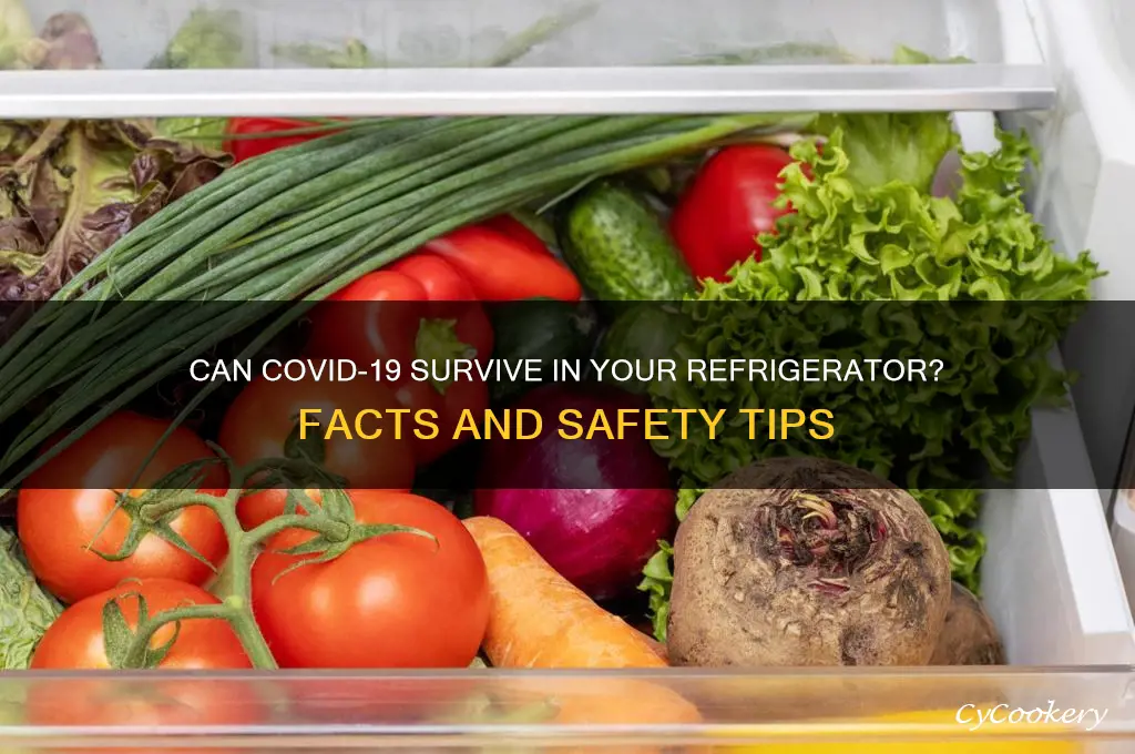 can covid 19 live in a refrigerator