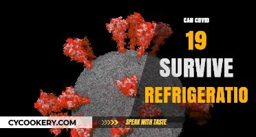Does COVID-19 Survive in Refrigerated Conditions? Exploring the Facts