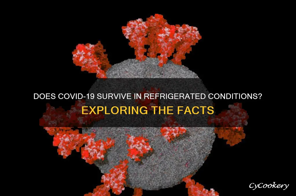 can covid 19 survive refrigeration