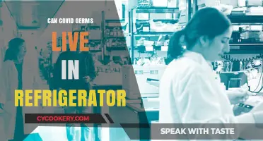 Can COVID-19 Germs Survive in Your Refrigerator? Find Out Now