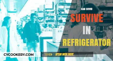 Can COVID-19 Survive in Your Refrigerator? Facts and Safety Tips