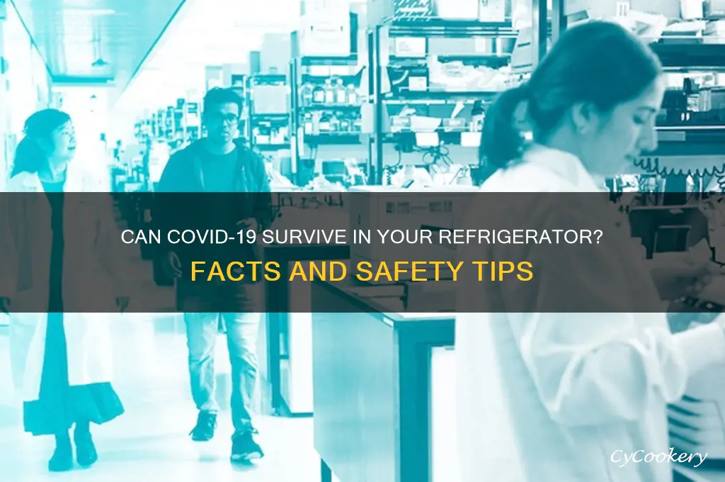 can covid survive in refrigerator
