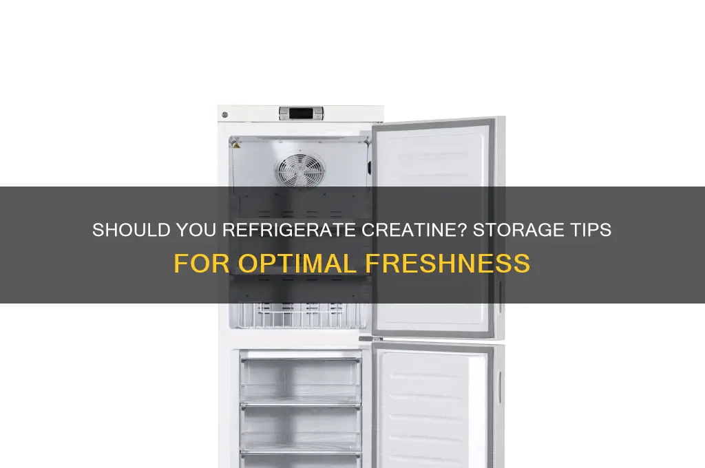 can creatin be kept in the refrigerator