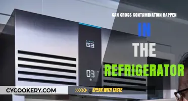 Preventing Cross-Contamination: Refrigerator Risks and Safe Food Storage Tips