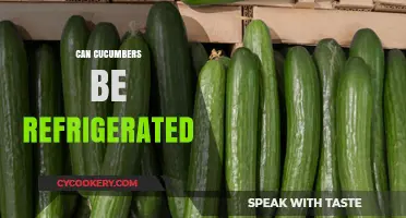 Should You Refrigerate Cucumbers? Storage Tips for Freshness and Crunch