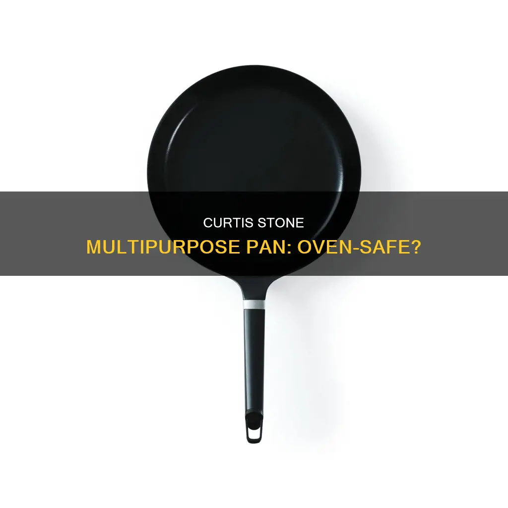 can curtis stone multipurpose pan go into the oven