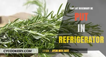 Storing Cut Rosemary: Refrigerator Tips for Freshness and Flavor
