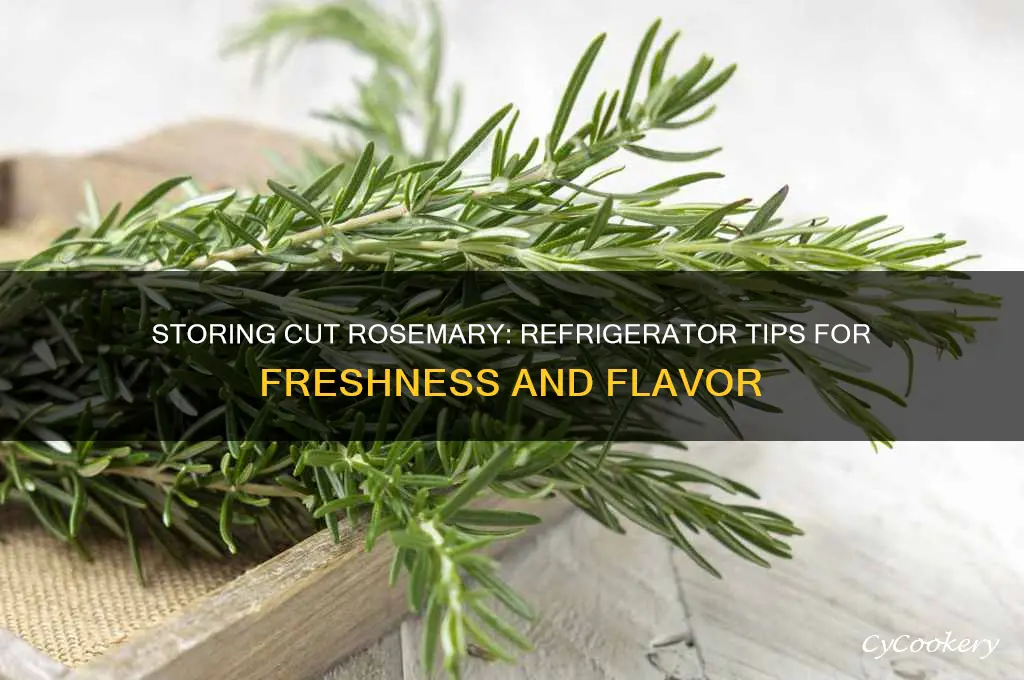 can cut rosemary be put in refrigerator