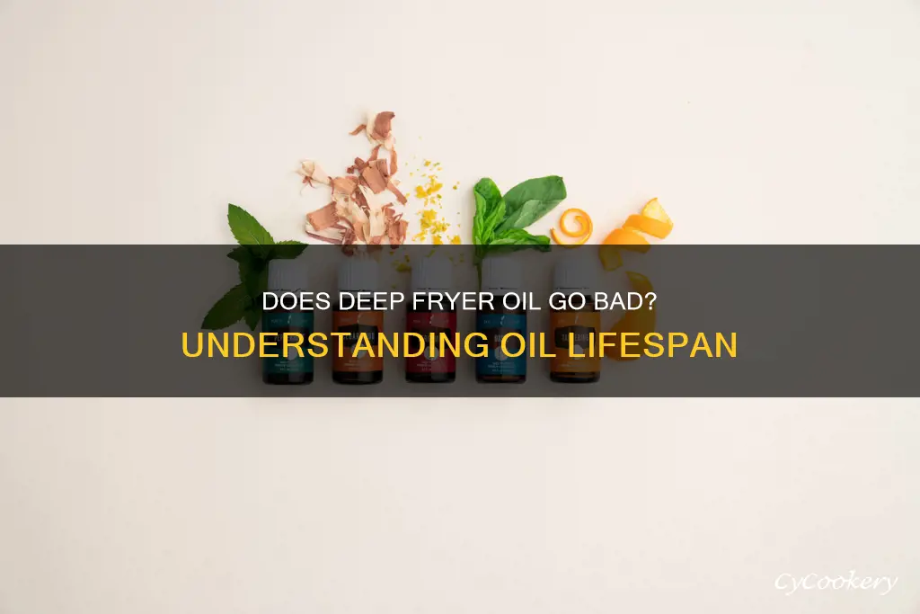 can deep fryer oil go bad