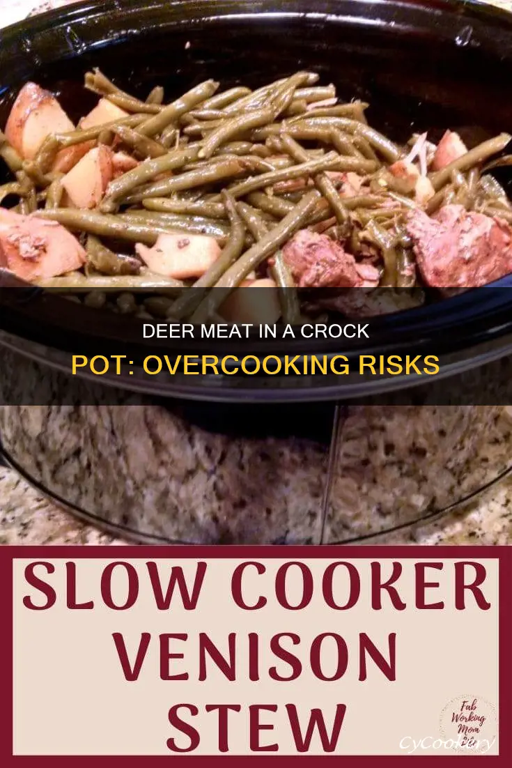 can deer be over cooked in crock pot