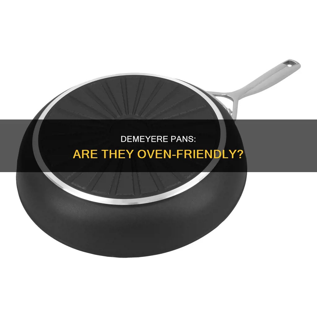 can demeyere pans go in the oven