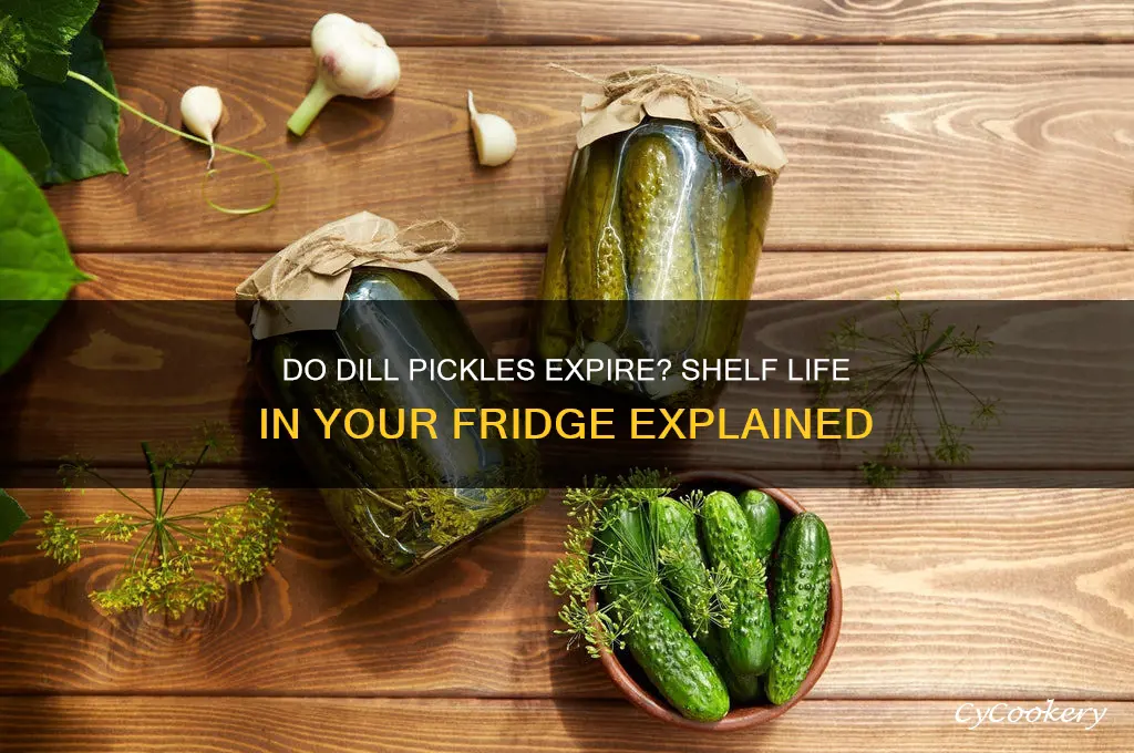 can dill pickles go bad in the refrigerator