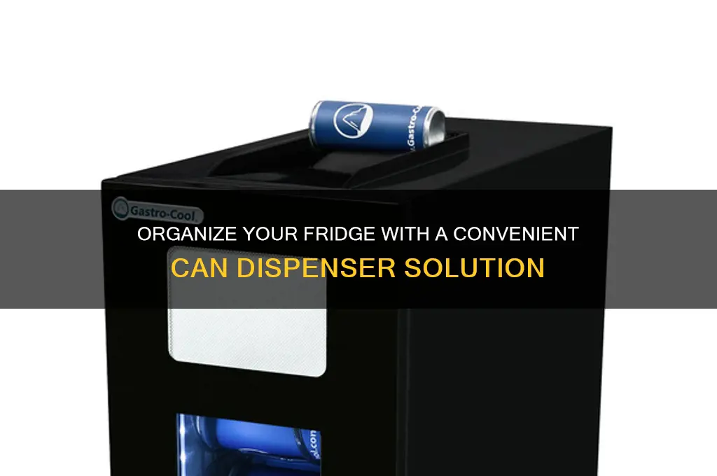 can dispenser for refrigerator