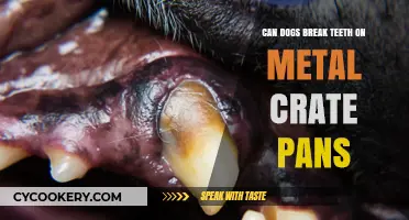 How Metal Crate Pans Can Damage Your Dog's Teeth