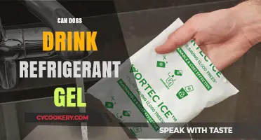 Can Dogs Safely Ingest Refrigerant Gel? Risks and Precautions
