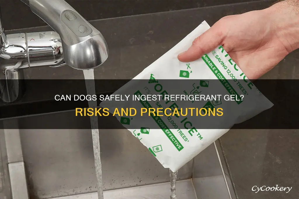 can dogs drink refrigerant gel