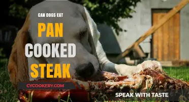 Steak for Dogs: Pan-Cooked or Raw?
