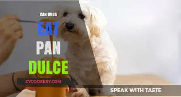 Safe for Dogs? Pan Dulce Explained