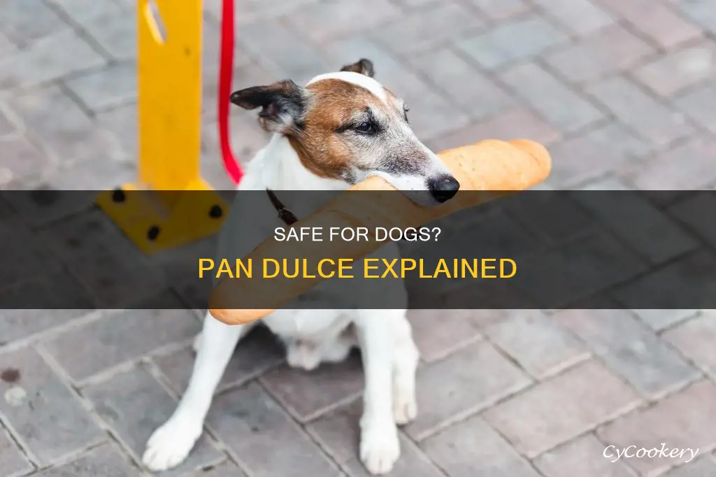 can dogs eat pan dulce